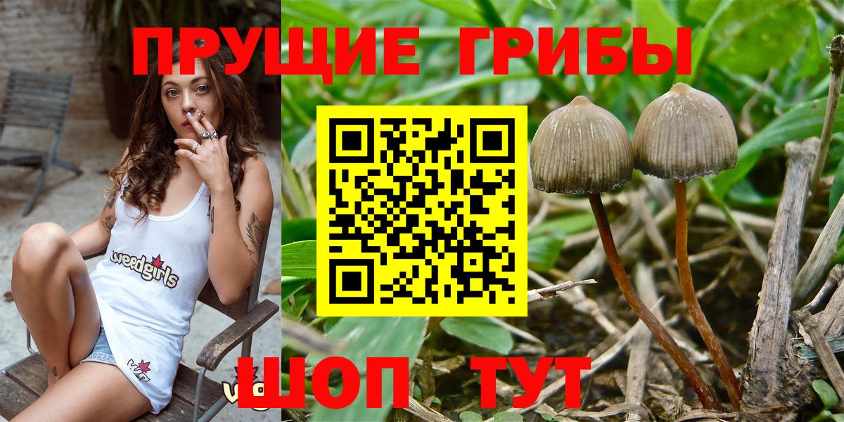 Галлюциногенные грибы MAGIC MUSHROOMS Зеленокумск