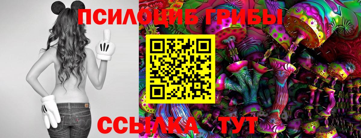 Галлюциногенные грибы мухоморы  как найти   Зеленокумск  Вход с VPN  Галлюциногенные грибы GOLDEN TEACHER 